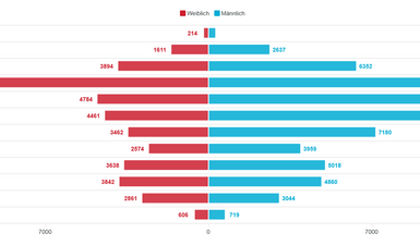 BSB.Vereinsanalyse BSB.Vereinsanalyse